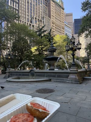 Apollo Bagels by null