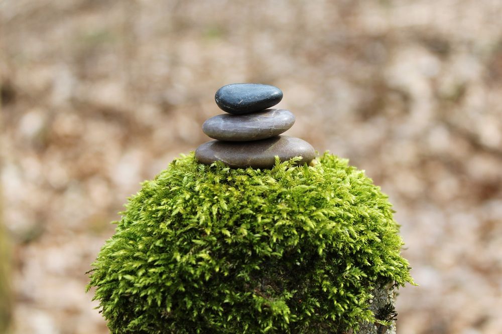 B Meditation Studio Logo