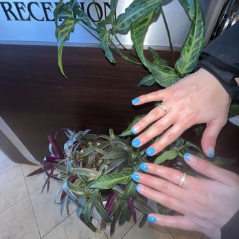 TT Nail - Nail Salons Near Me - Charles Town, West Virginia