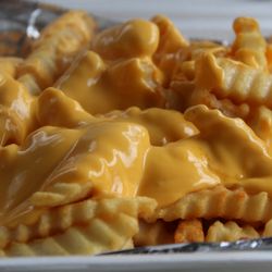 Tacos Diablos Truck - Cheese fries, you can also add steak to them if you like!