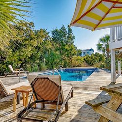 Best Of Bald Head