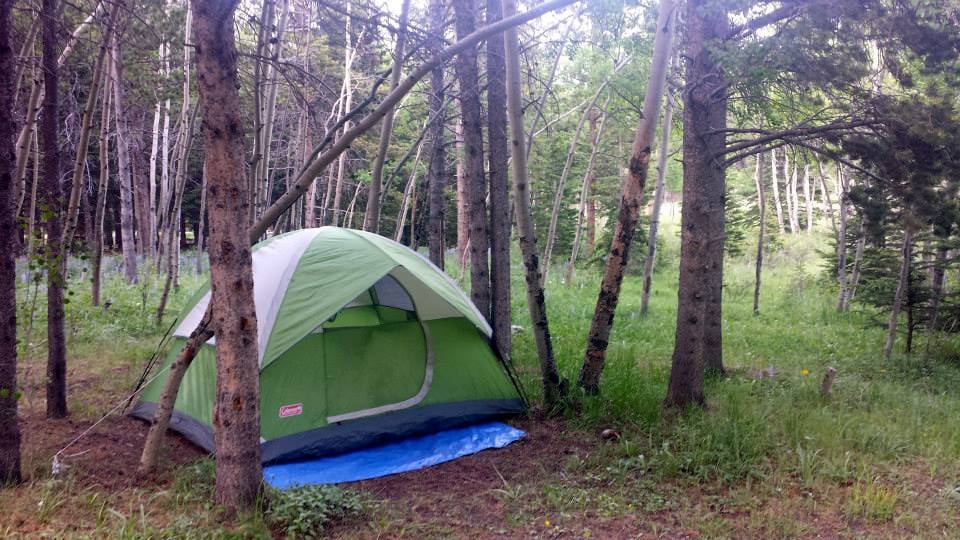 CIRCLE PARK CAMPGROUND Updated September 2024 Bighorn National Forest, Buffalo, Wyoming