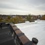 Photo of Super Roofer