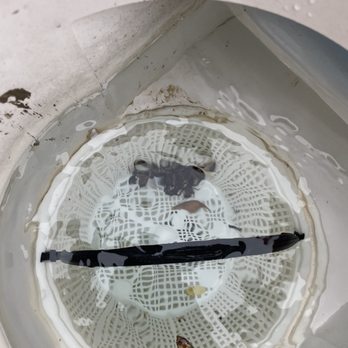 Blue Science Pools - Technician didn't even touch skimmer but marked it as cleaned on the sheet. - Pool Cleaners Near Me - The Colony, Texas