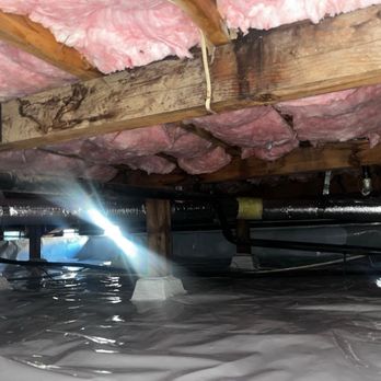 Attical Insulation and Rodents - Insulation Installation Near Me Attical Insulation and Rodents - Insulation Installation Near Me