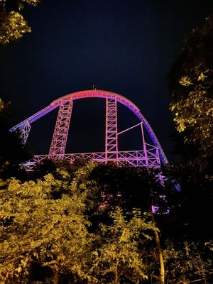 Millennium Force at Cedar Point by null