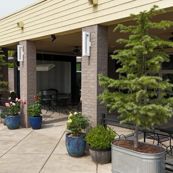Mr Dumpling - An outdoor patio features potted plants, including small trees and flowering plants, with seating arrangements and a building facade. - Dim Sum Near Me - Eugene, Oregon