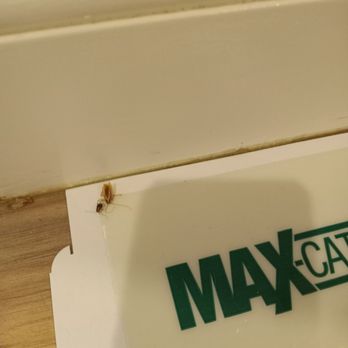 Aptive Pest Control - Pest Control Near Me - Deer Park, New York