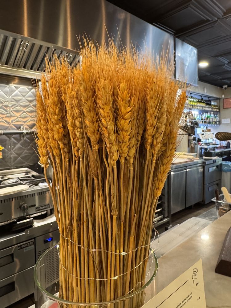 Sipsteria