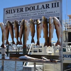 Silver Dollar Charter Boat