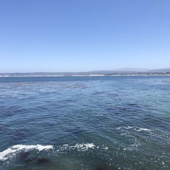 Hotel 1110 - Hotels Near Me - Monterey, California Hotel 1110 - Hotels Near Me - Monterey, California