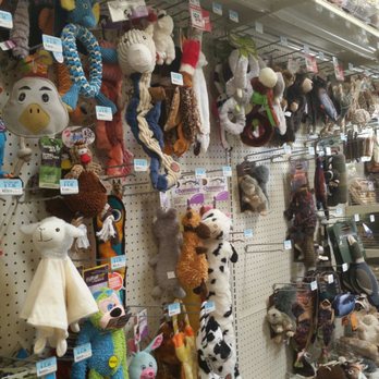 Tractor Supply - Pet toys - Pet Stores Near Me - Chandler, Arizona