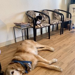 Sun Lakes Hair Design - The salon mascots