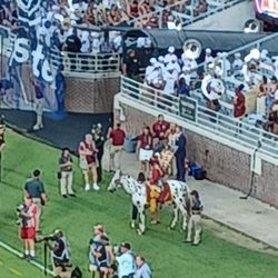 Florida State University