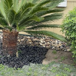 Without bee swarm Without bee swarm