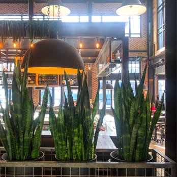 Forbidden Root - Brewpubs Near Me - Columbus, Ohio