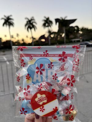 Gulfstream Park Racing by null