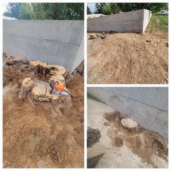 1. Holding Stump Removal LLC