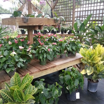 Boca Delray Plants - Boca Delray Plants Garden Center Shade House full of color... - Landscaping Near Me - Delray Beach, Florida