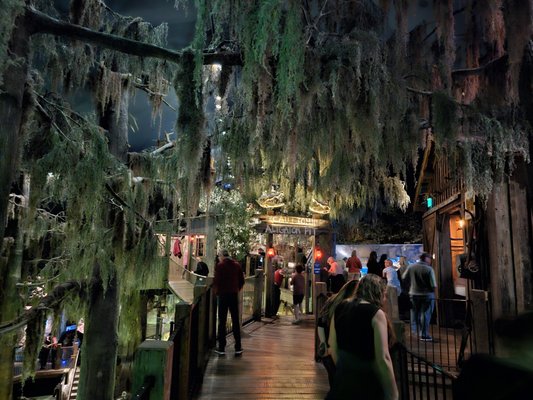 Wonders Of Wildlife National Museum & Aquarium by null