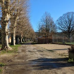 Camping Municipal les Promenades