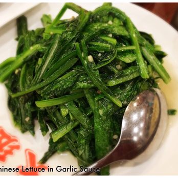 HK Dim Sum - Dim Sum Near Me - San Jose, California HK Dim Sum - Dim Sum Near Me - San Jose, California