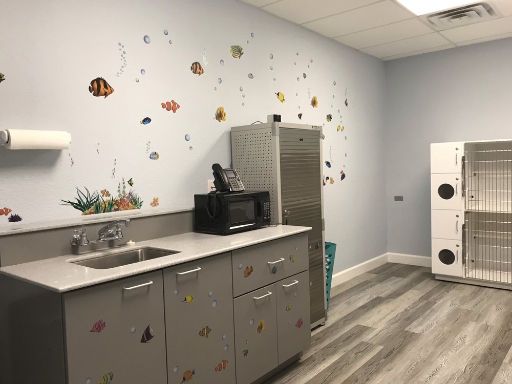 GULF COAST SCRATCHING POST CAT HOSPITAL 18 Photos Veterinarians