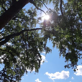 Clanton Park - Beautiful blue sky! Perfect Canadian summers' day! - Baseball Fields Near Me - Toronto, Ontario Clanton Park - Beautiful blue sky! Perfect Canadian summers' day! - Baseball Fields Near Me - Toronto, Ontario
