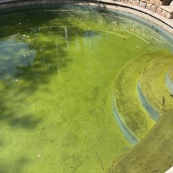 Bell's Pool and Spa - This is a photo of our pool as it currently looks thanks to their complete lack of care.