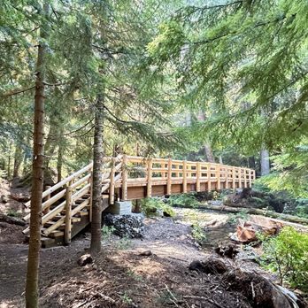 Diamond Creek Falls - Cross this footbridge and you've almost arrived at Diamond Creek Falls. - Hiking Near Me