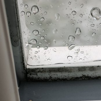 Universal Windows Direct of Columbus - Shows mildew between outer glass pane and frame - Windows Installation Near Me - Columbus, Ohio