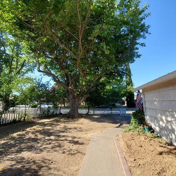 Care Tree Care - After - Tree Services Near Me Care Tree Care - After - Tree Services Near Me