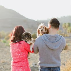A Stone's Throw Winery - Photography by Ann from Lost & Found Wedding Photography