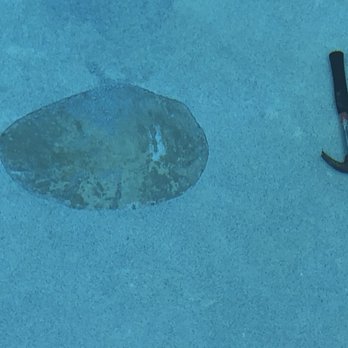 Ross Services - Diamond brite not holding. I had to fight with them so they'd fix all of their mistakes and we're stuck with the same exact problems. - Pool & Hot Tub Service Near Me - Coral Springs, Florida