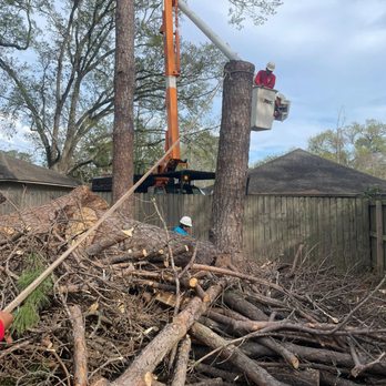 Santana Tree Service - Almost finish... - Tree Services Near Me