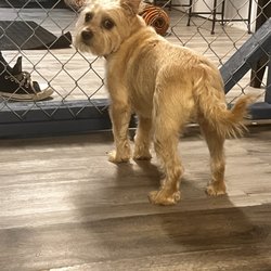 user provided Bark Bath Beyond photo
