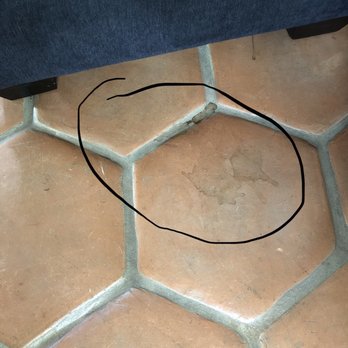 Panthers Cleaning - Filthy floor - Home Cleaning Near Me - Los Angeles, California
