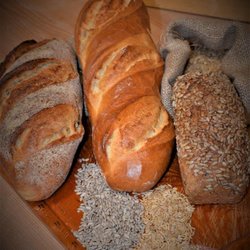 Bäckerei-Konditorei Münsch