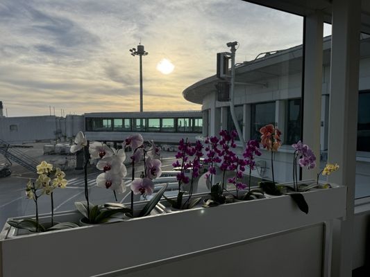 Naha International Airport by null