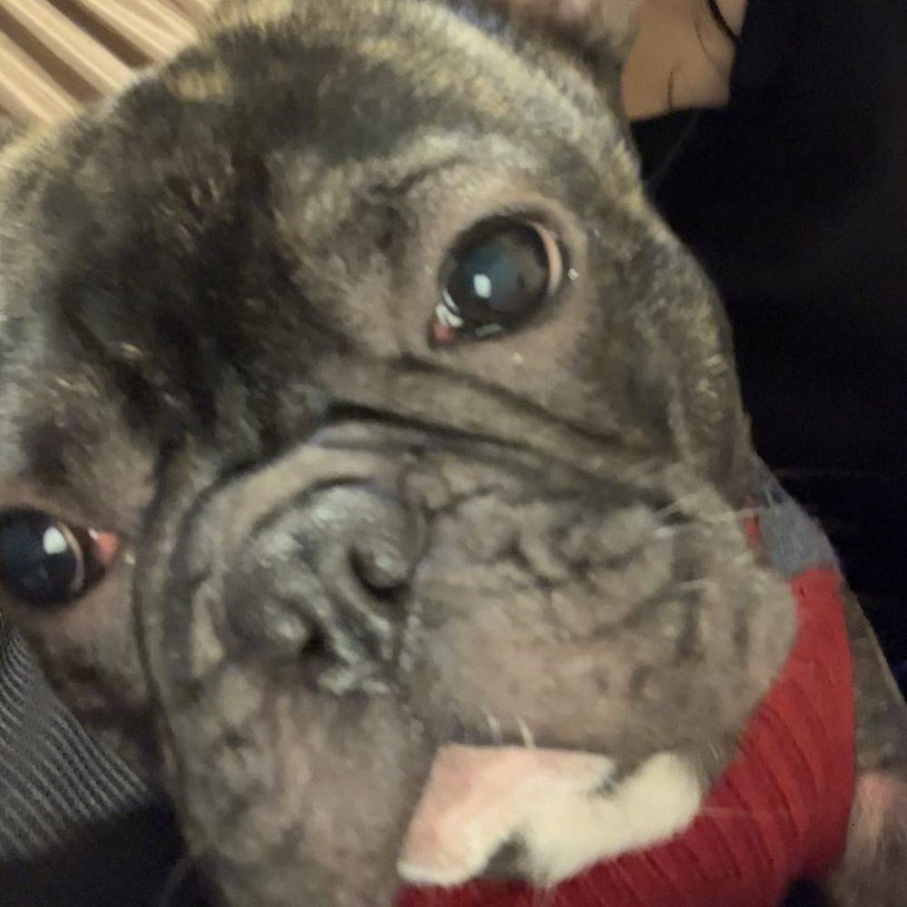 VILLA PARK MOBILE HOMES & LONG BEACH ESTATES Updated September 2024