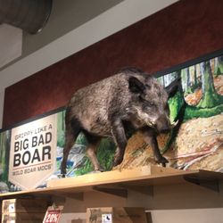 Duluth Trading Company