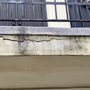 Photo of Phan Property Management