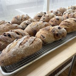 Seed Bakery - Fresh bread