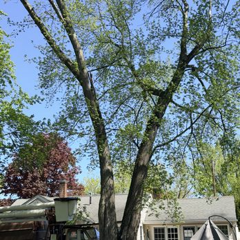 DR Tree Service - Tree Services Near Me - Nashua, New Hampshire DR Tree Service - Tree Services Near Me - Nashua, New Hampshire