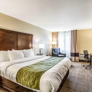 Comfort Inn Suites Albuquerque Downtown 23 Photos 17 Reviews