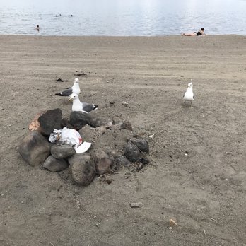 Pyramid Lake Paiute Tribe - Sky rats lol...Scavengers of the sky - Lakes Near Me - Reno, Nevada Pyramid Lake Paiute Tribe - Sky rats lol...Scavengers of the sky - Lakes Near Me - Reno, Nevada