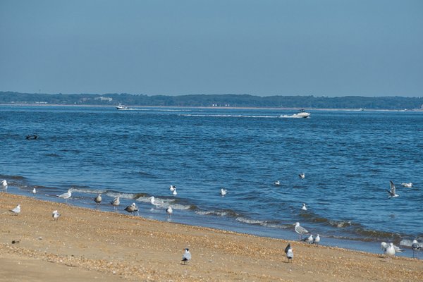 Keansburg Beach by null