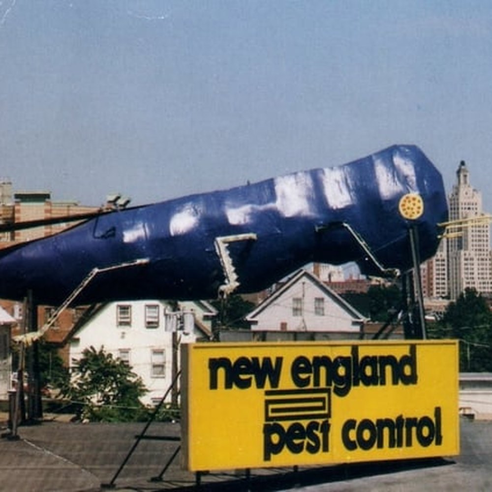Big Blue Bug Solutions