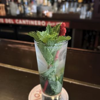 Cafe La Trova - Cocktail Bars Near Me - Miami, Florida