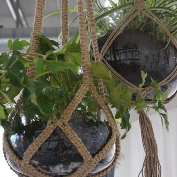 Jaeci - Plants on plants on plants! Bought one for my house! - Gift Shops Near Me - Las Vegas, Nevada